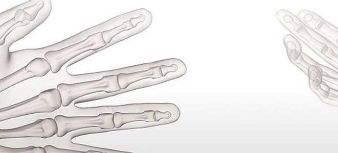 BIRG Humanpräparate-Workshop BIRG Humanpräparate-Workshop