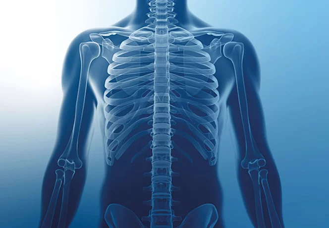 Orthopädie I Traumatologie Orthopädie I Traumatologie